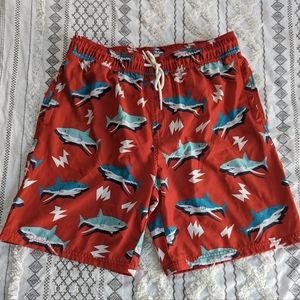 Sovereign Code Swim Trunks